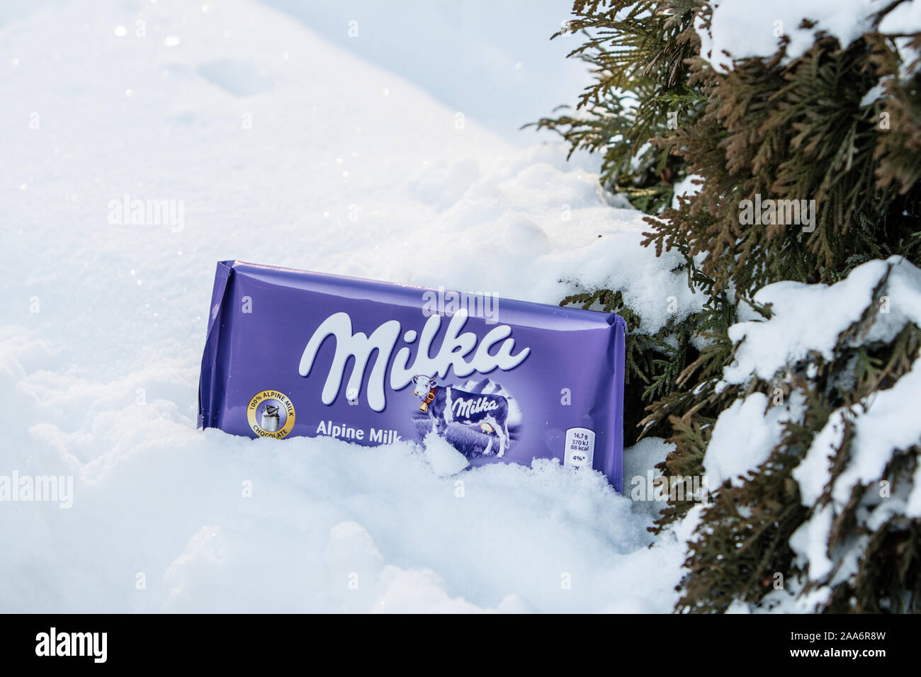 A bar of Milka Mondelez Alpenmilch milk chocolate with the purple cow, winter, snow Stock Photo