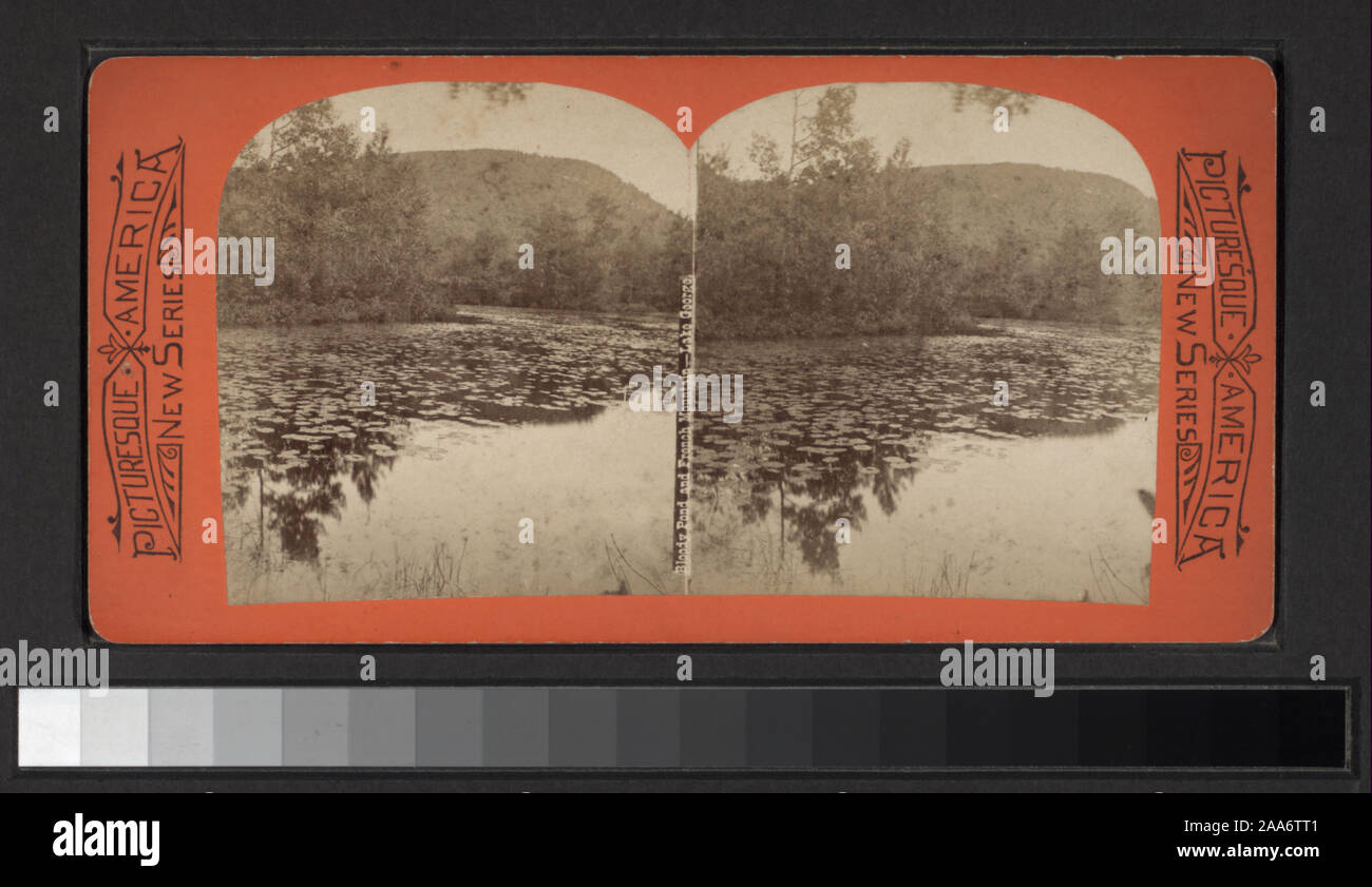 Title Devised By Cataloger Views Of Lake George New York