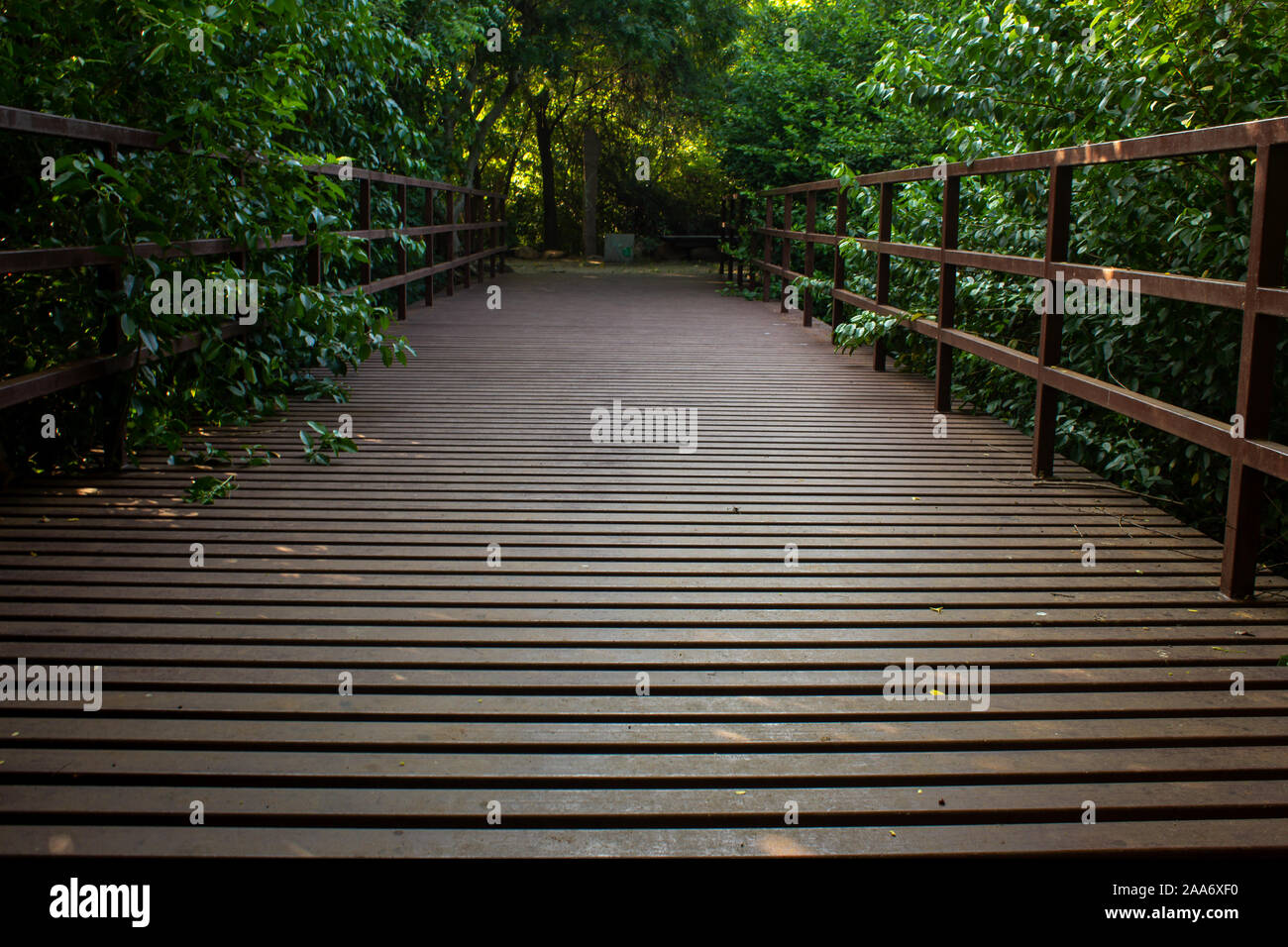 Beautiful view of bridge made up of steel rods in a park Stock Photo