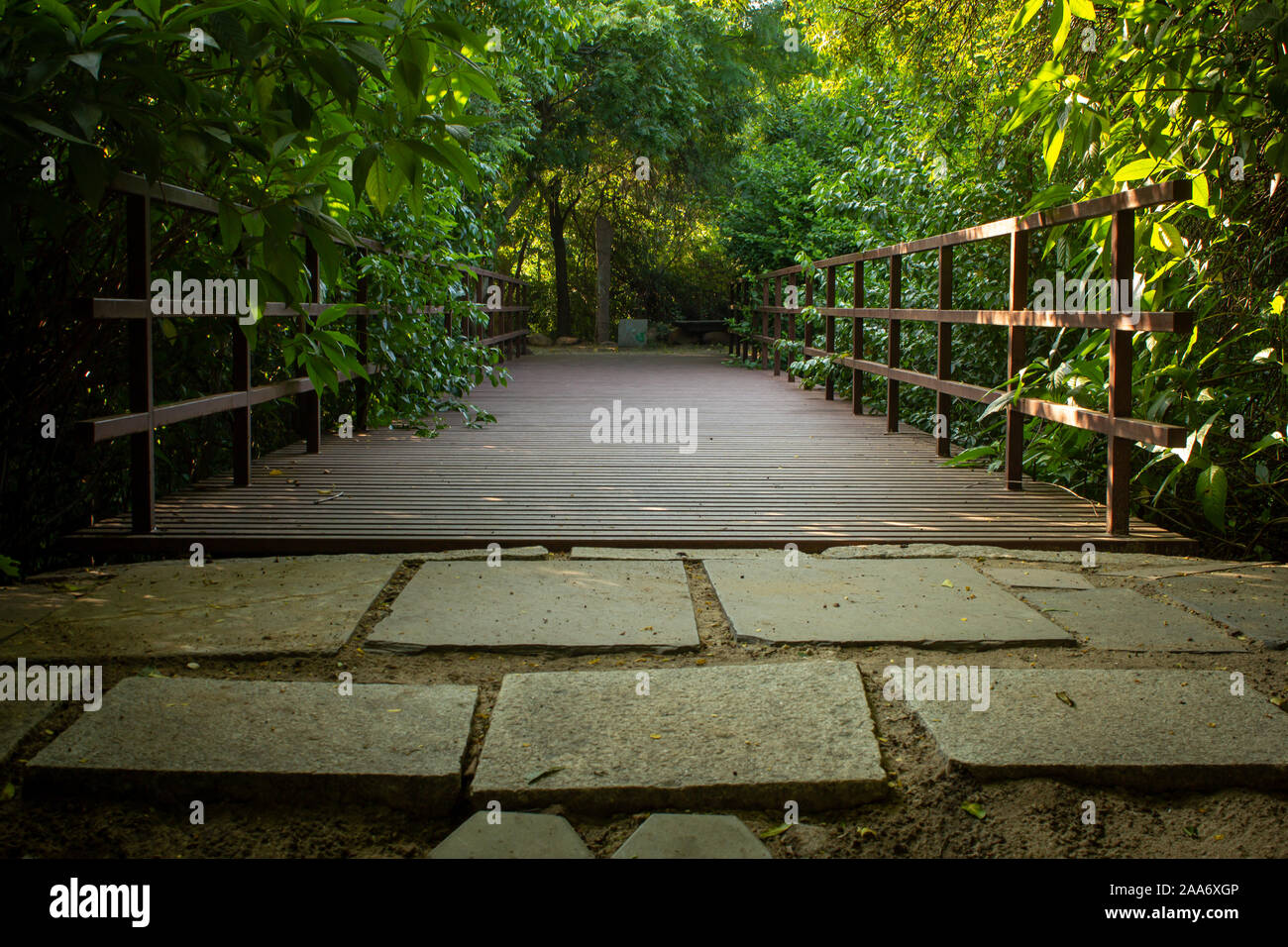 Beautiful view of bridge made up of steel rods in a park Stock Photo
