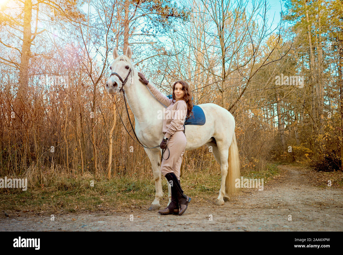 girl riding a white horse in the woods Stock Photo Alamy