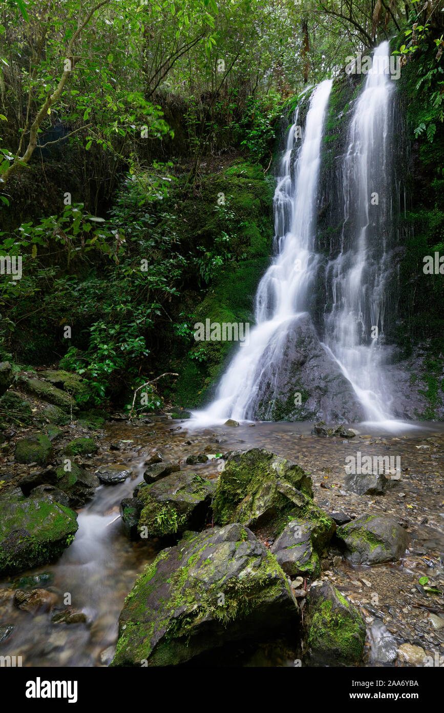 Elvy Stream Waterfall, Pelorus Bridge scenic reserve, Marlborough, New Zealand. Stock Photo