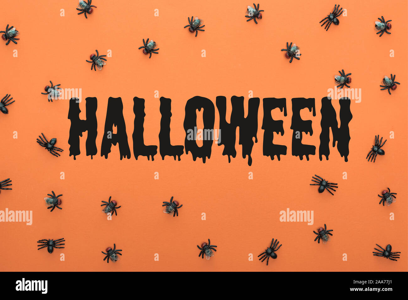 top view of scary spiders on orange background with Halloween ...