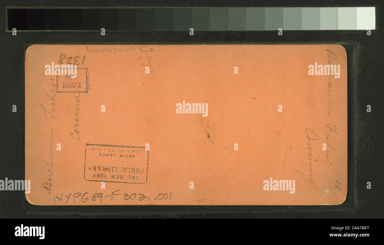 Buchanan Fisher, Corrina [Corinna], Maine.; Buchanan Fisher, Corrina