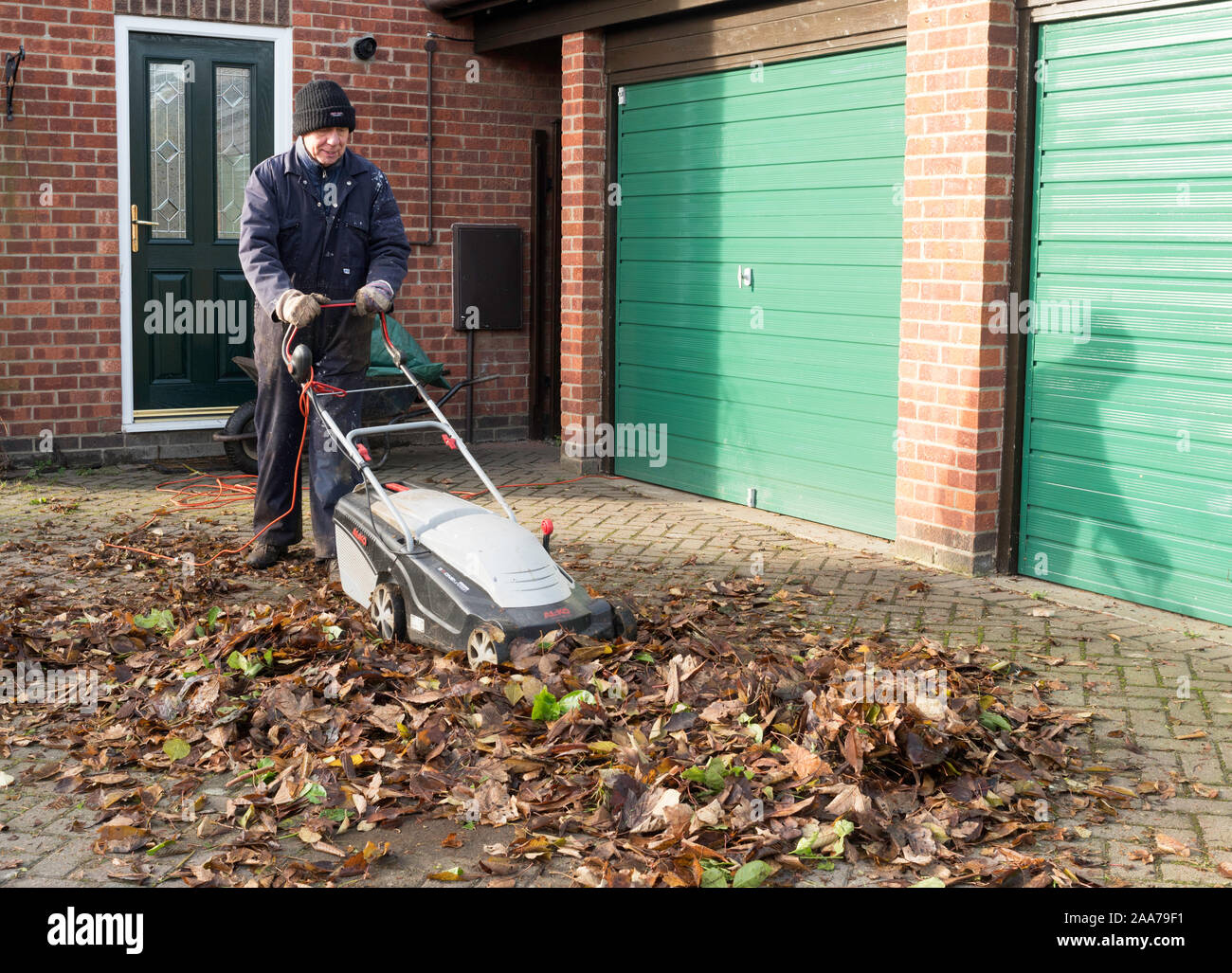 A man using an electric mower to shred leaves to make leaf mould, England, UK Stock Photo
