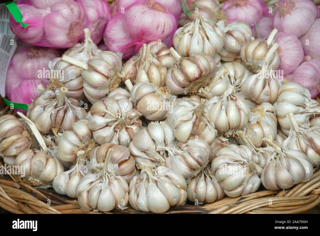 Knoblauch (Allium sativum) Stock Photo