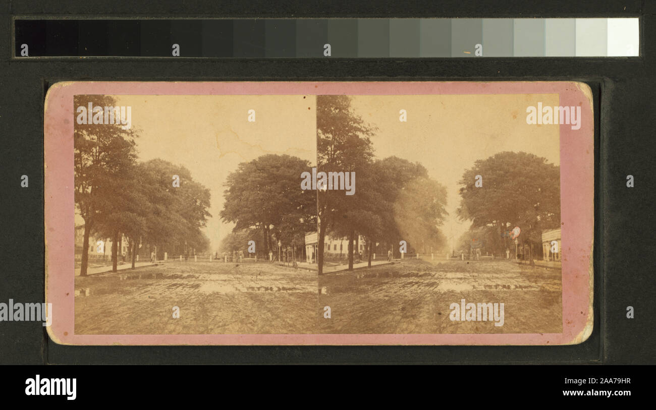 Bull Street, Savannah, Ga. [and Johnson Square]; Bull Street, Savannah ...