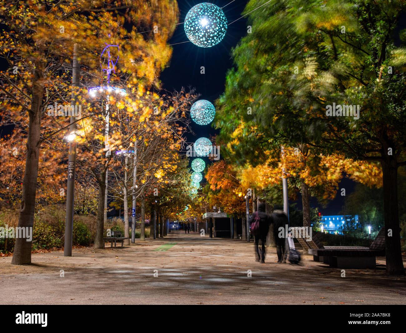 London, England, UK - November 11, 2019: Pedestrians walk along Tessa Jowell Boulevard under autumn trees swaying in the wind at night in London's Que Stock Photo