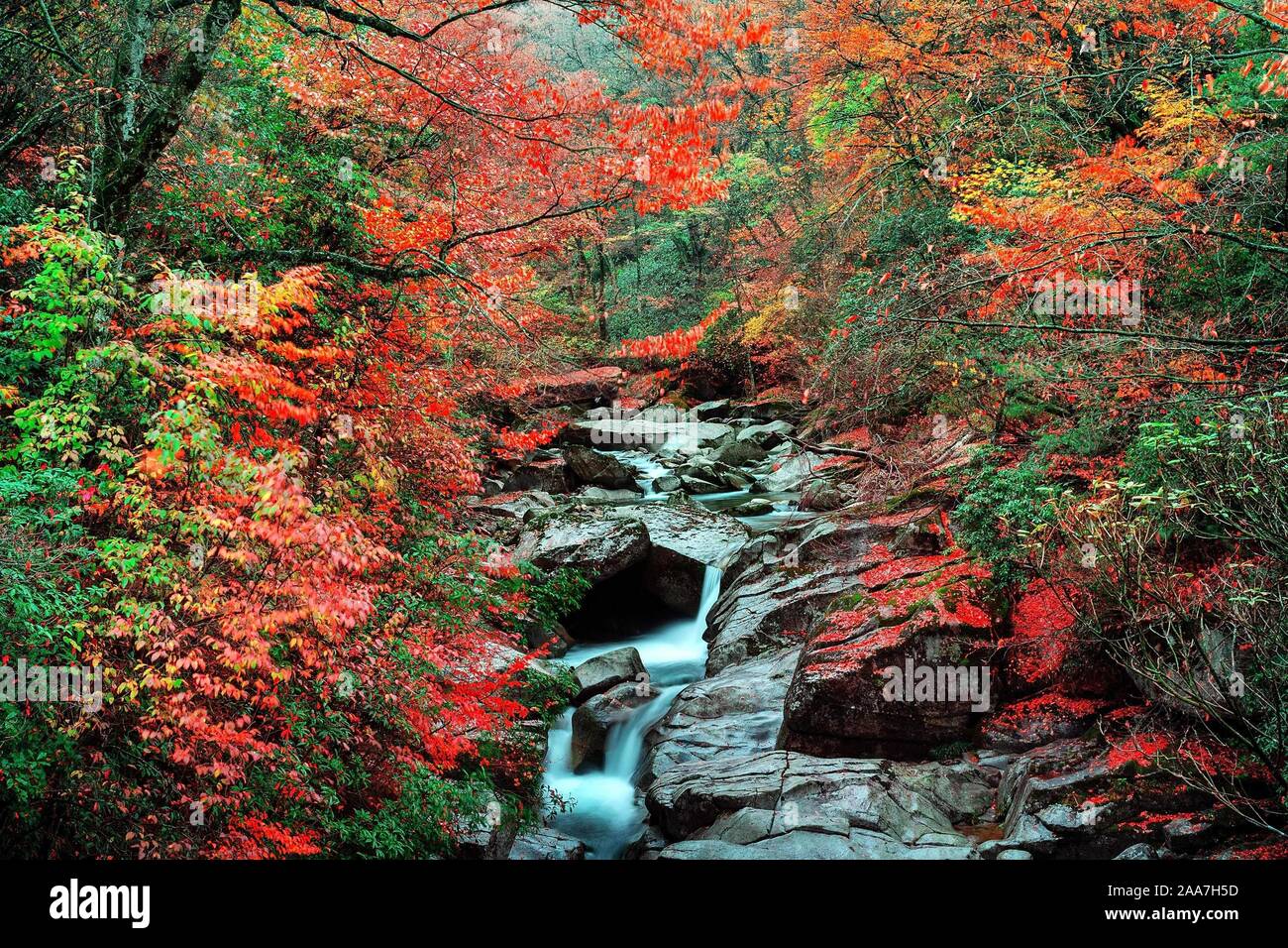 Page 11 Most Peculiar High Resolution Stock Photography And Images Alamy