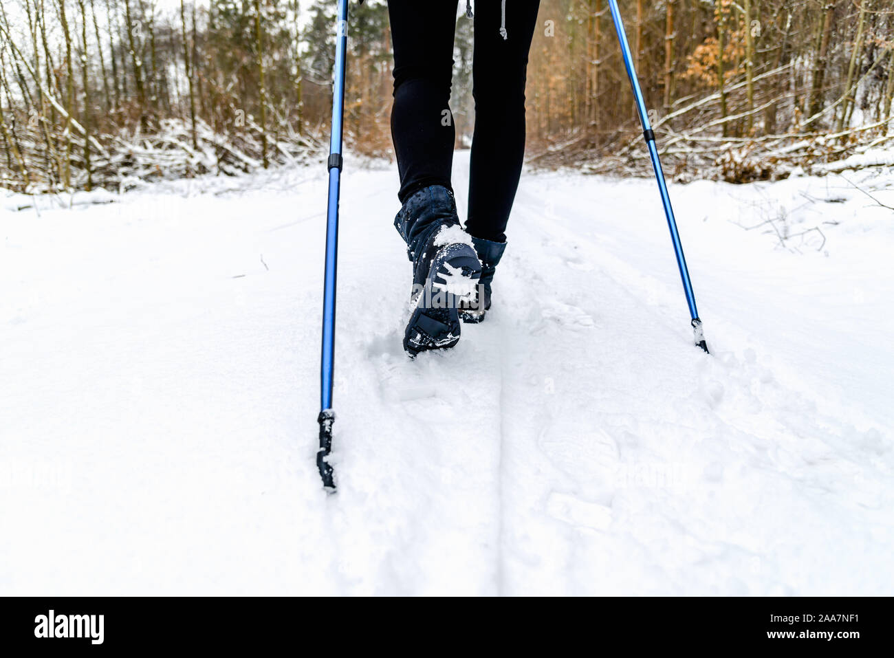 winter walking sticks