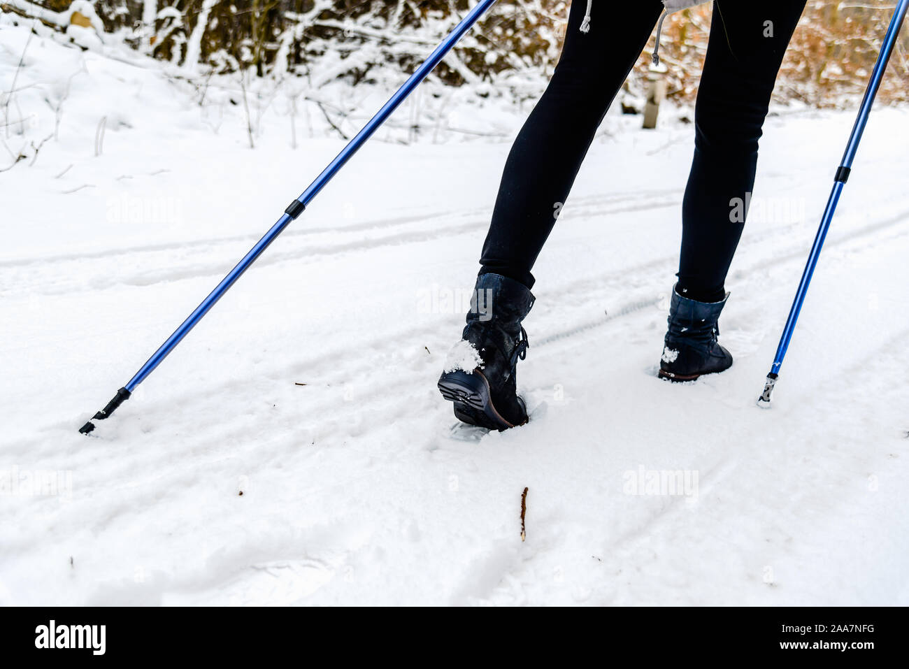 snowshoeing sticks