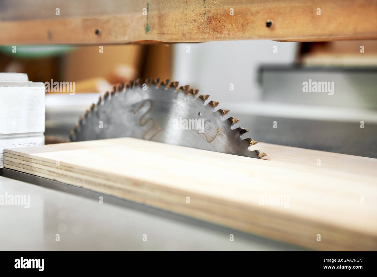 Close up low angle view of a toothed circular saw blade with plank of wood in a carpentry or woodworking workshop Stock Photo