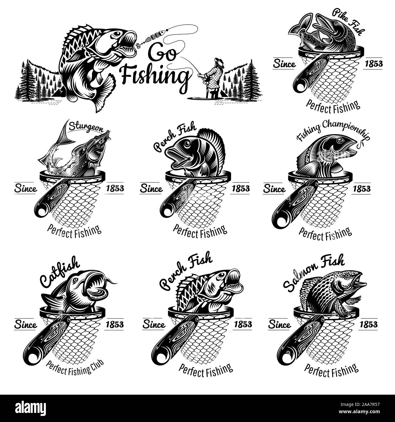 Set of different fishes head up from landing net in engraving