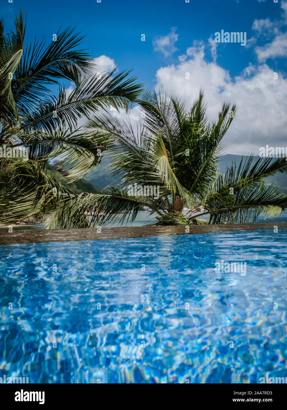 a lovely infinity swimming pool in the Caribbean Stock Photo