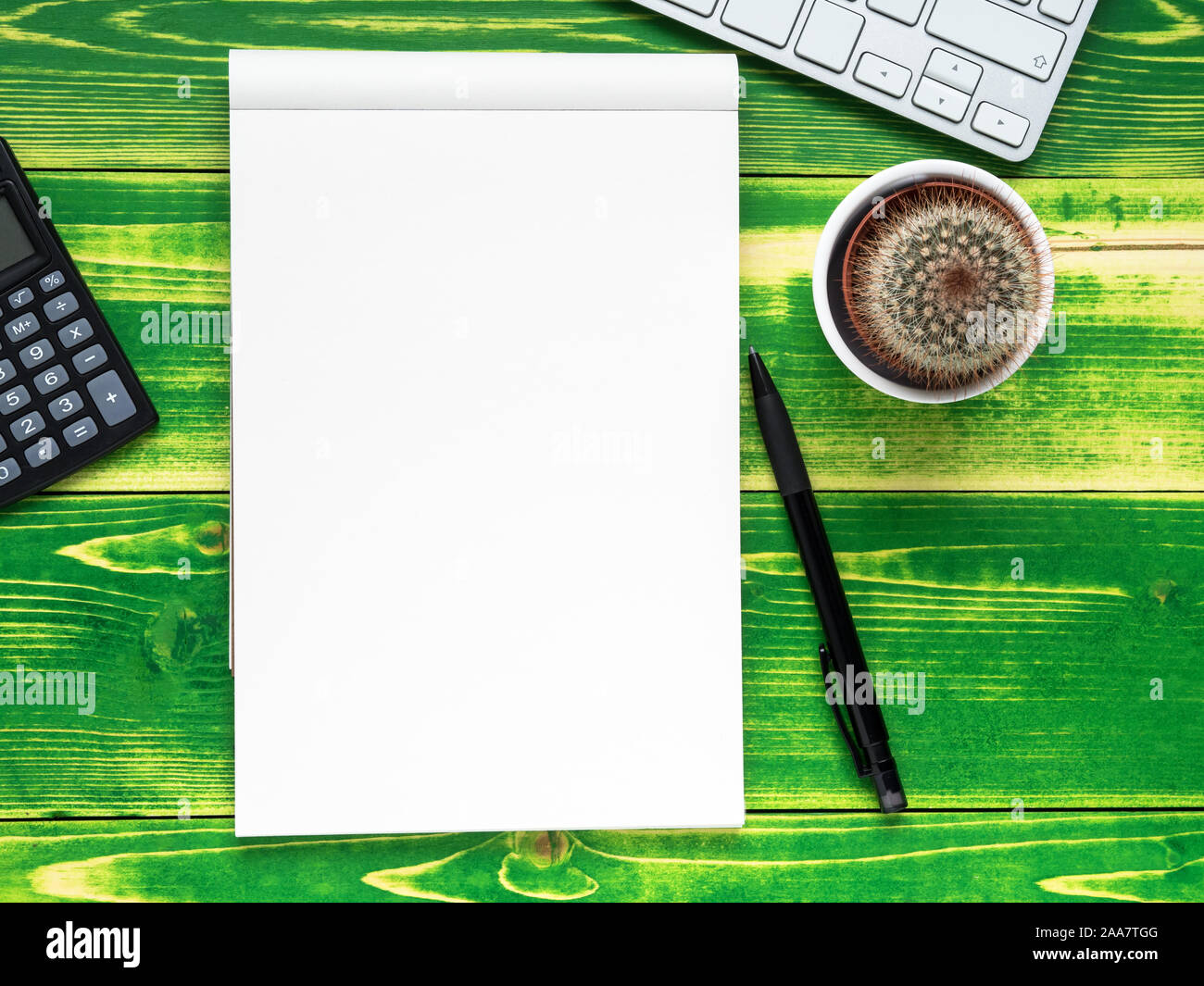 open notebook with white page, pen, calculator, computer keyboard, cactus  on  bright green weathered wooden table, top view Stock Photo
