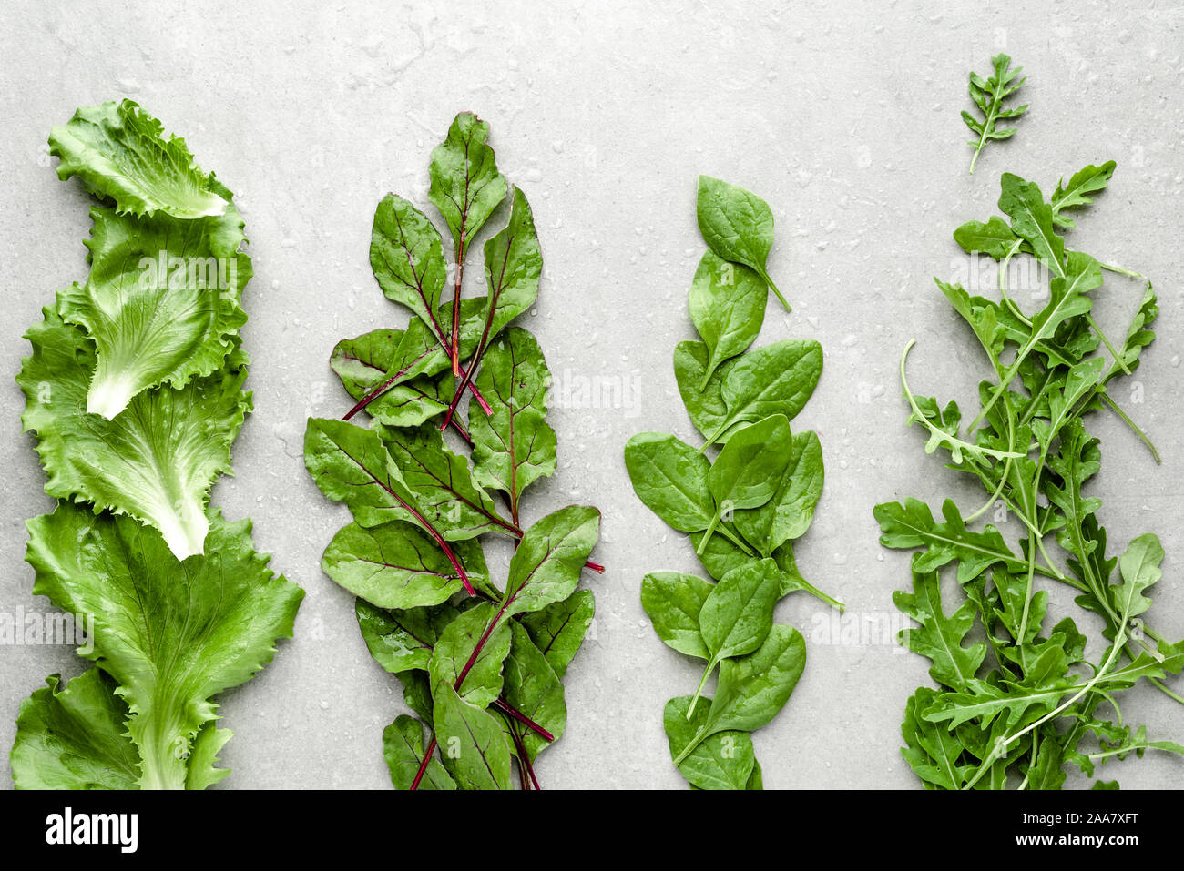 Baby leafs. Farm fresh green salad leaves. Lettuce, beet, arugula, and