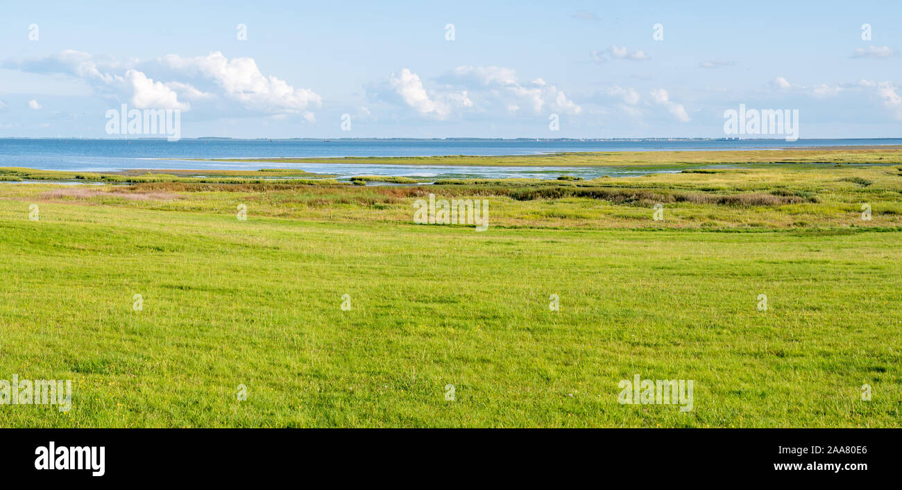 Panorama of Waddensea coast with marshes on West Frisian island Schiermonnikoog, Netherlands Stock Photo