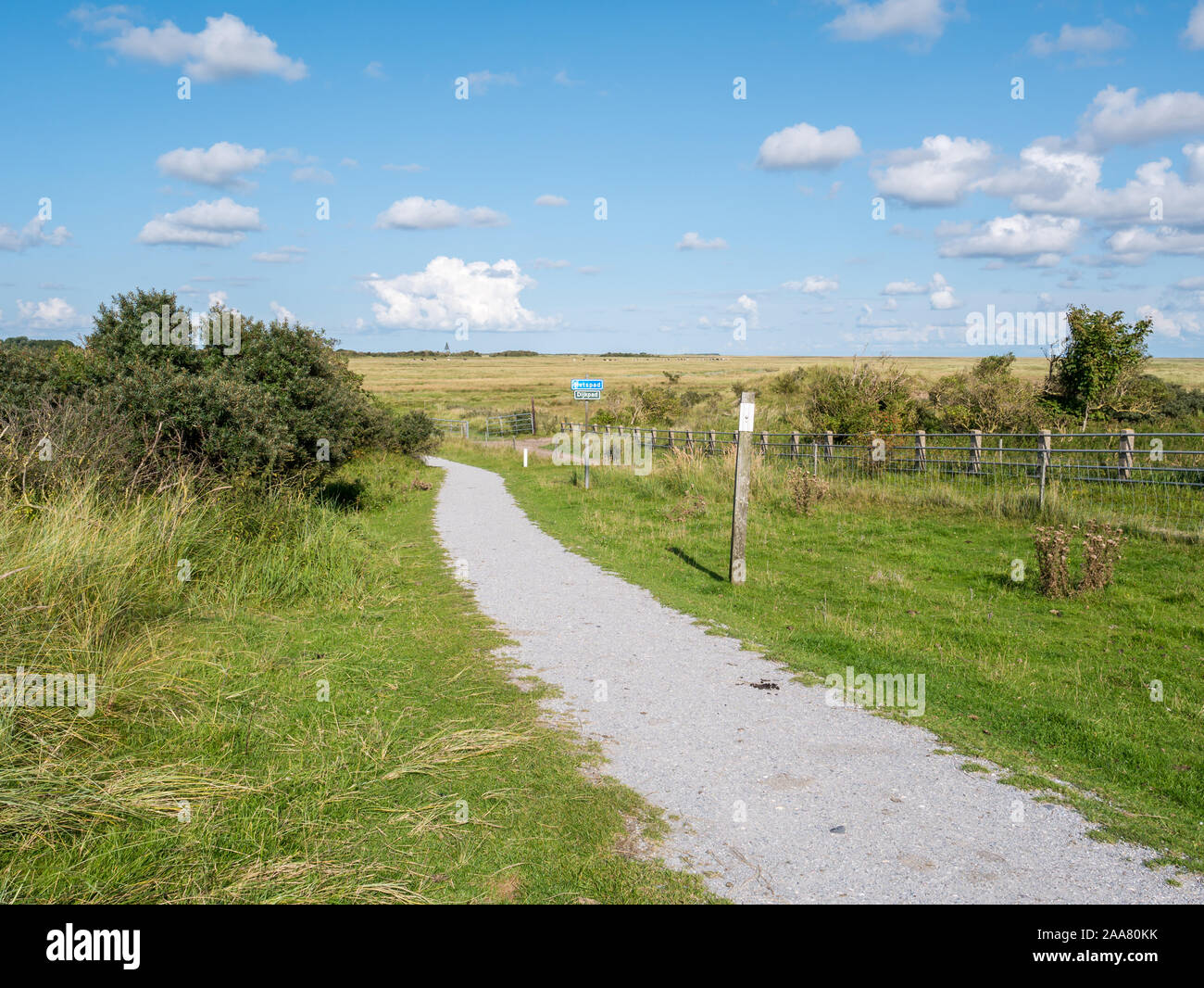 Bicycle track and Oosterkwelder marshes on West Frisian island Schiermonnikoog, Netherlands Stock Photo
