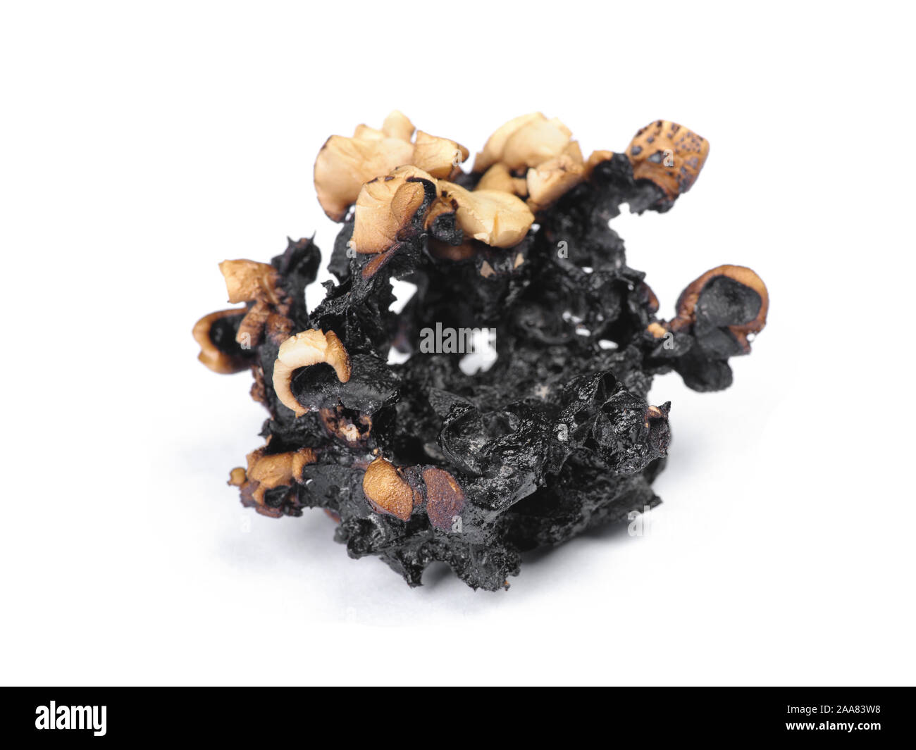 Burnt popcorn kernel isolated over white background Stock Photo - Alamy