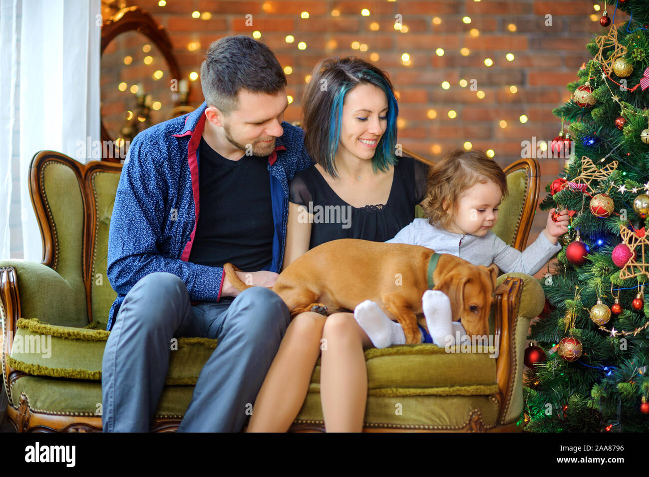 happy family with a dog sitting in a room on the sofa near the festive ...