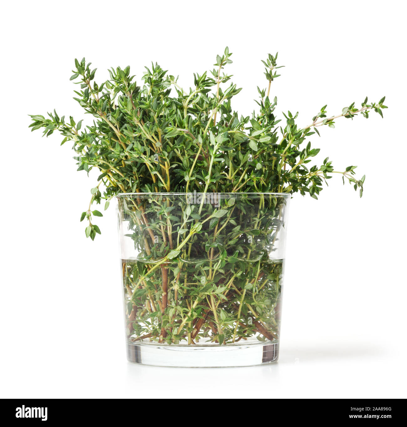 Fresh thyme isolated on white background Stock Photo