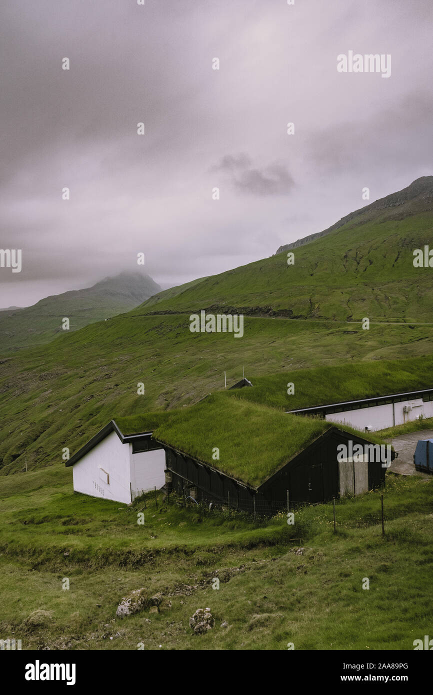 Faroe Island, Denmark, Europe. Stock Photo