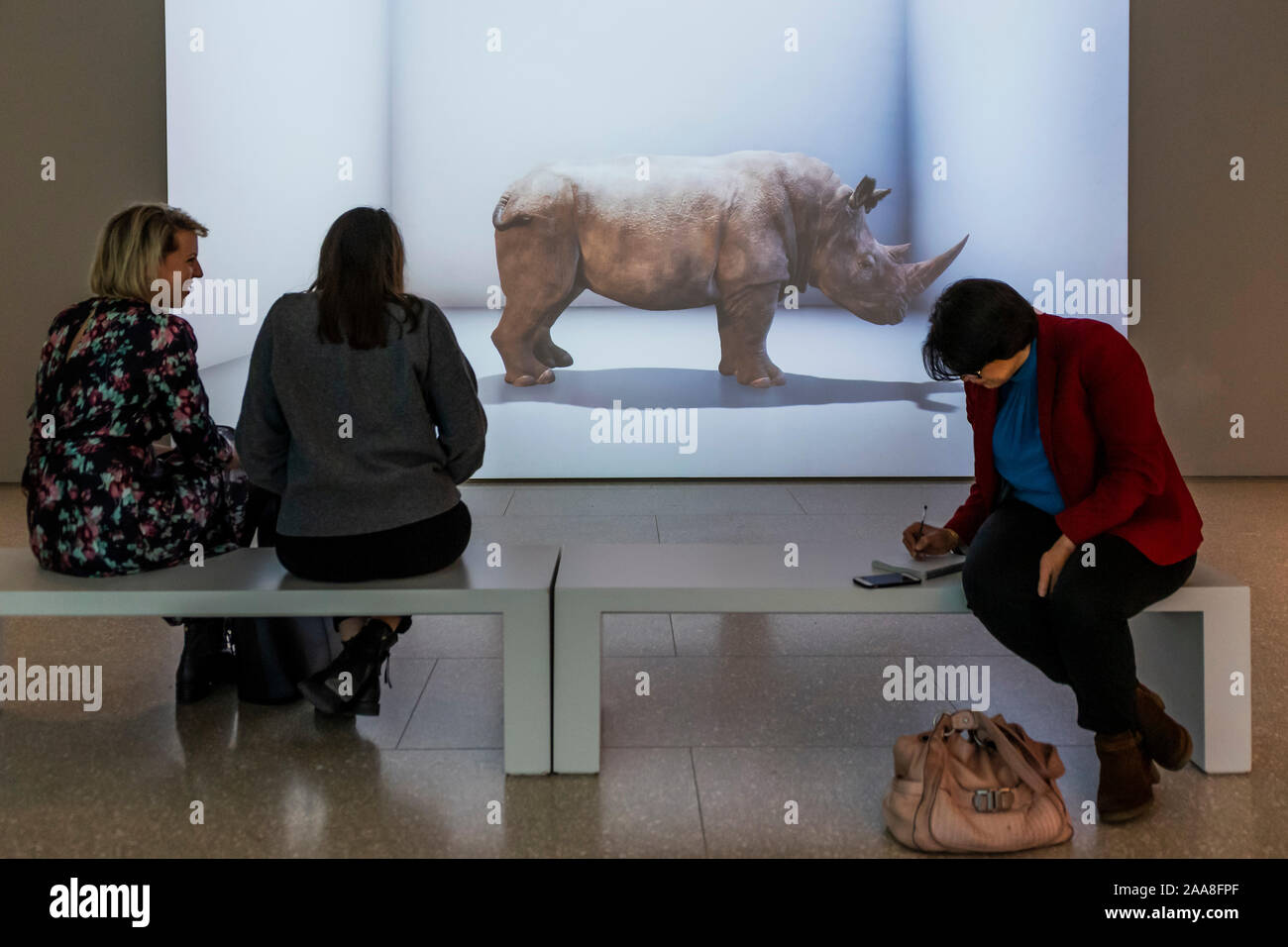 London, UK. 20th Nov 2019. Alexandra Daisy Ginsberg, The Substitute (video still), 2019 - Eco-Visionaries a new exhibition at the Royal Academy of Arts. It is aimed to confront a planet in a state of emergency. Credit: Guy Bell/Alamy Live News Stock Photo