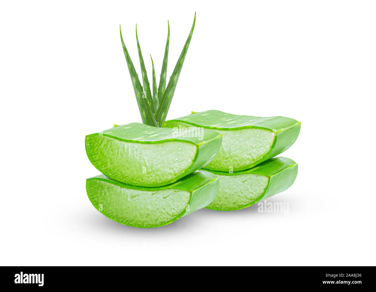 Aloe vera slice on white background Stock Photo - Alamy