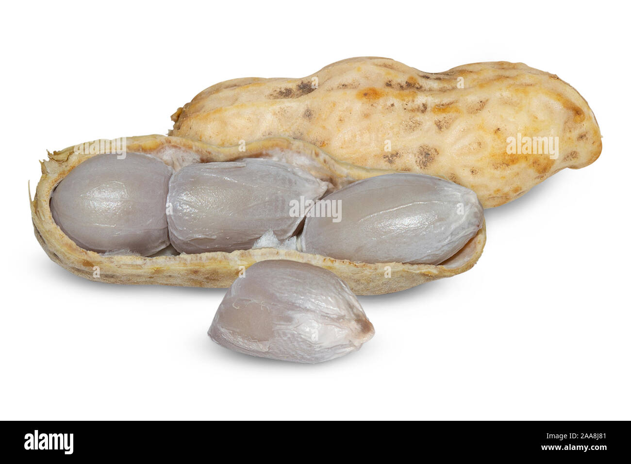 Boiled peanut on white background. Stock Photo