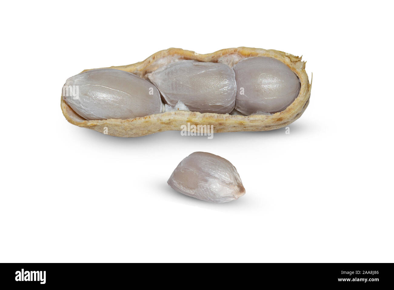Boiled peanut on white background. Stock Photo