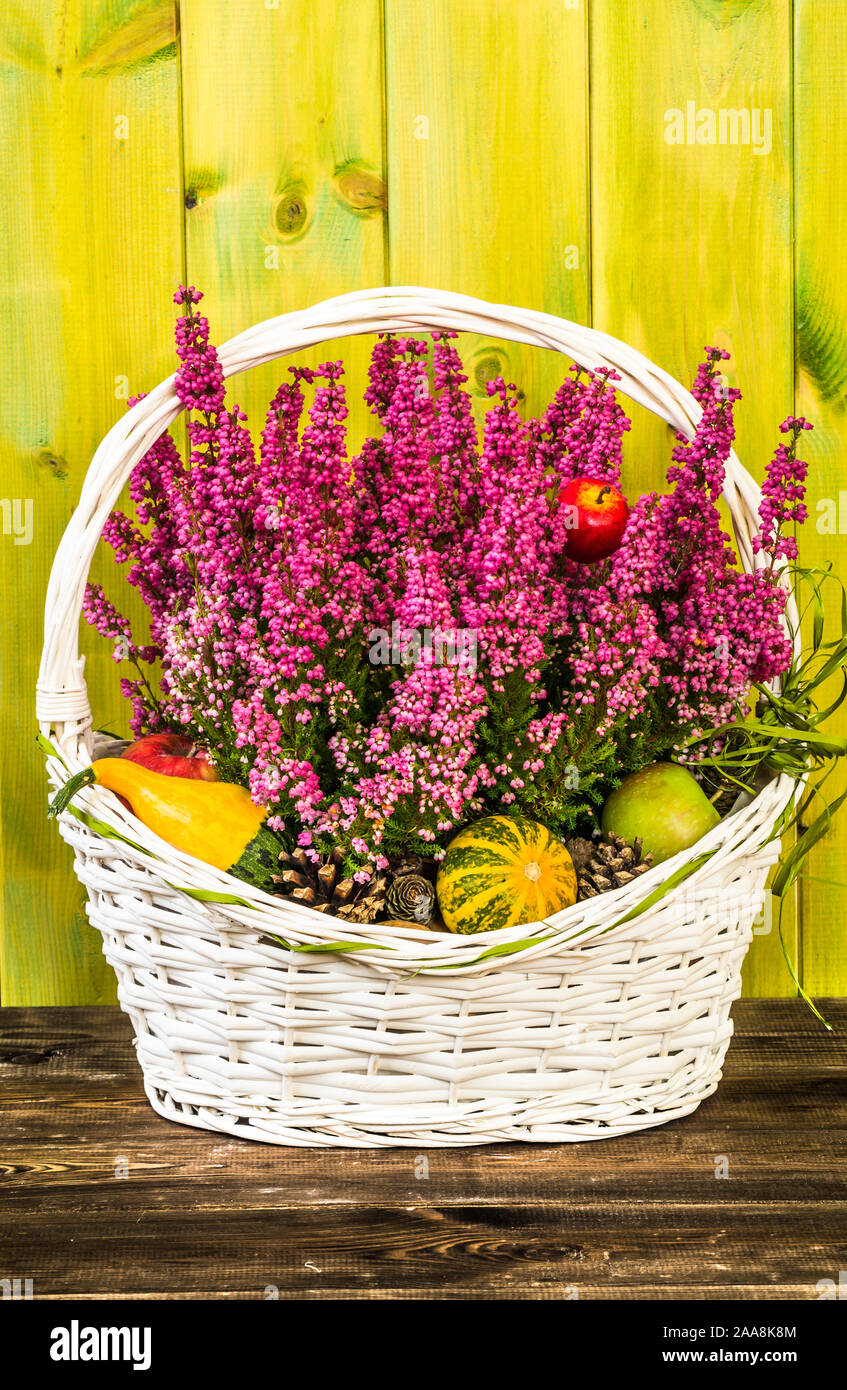 Flower of heather in the basket, autumn flowers background, shabby chic rustic pattern Stock Photo
