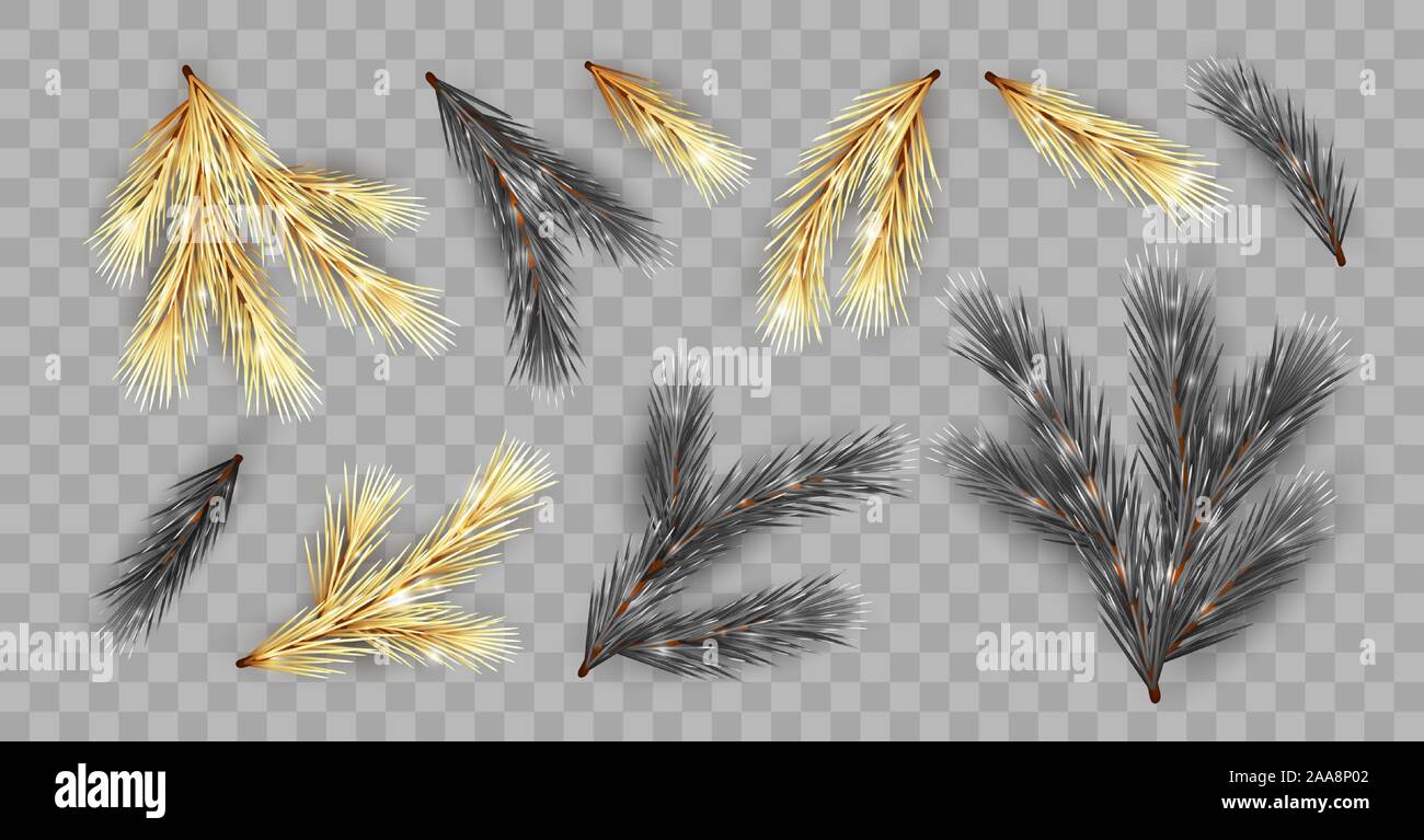 Set of Fir Branches Stock Vector