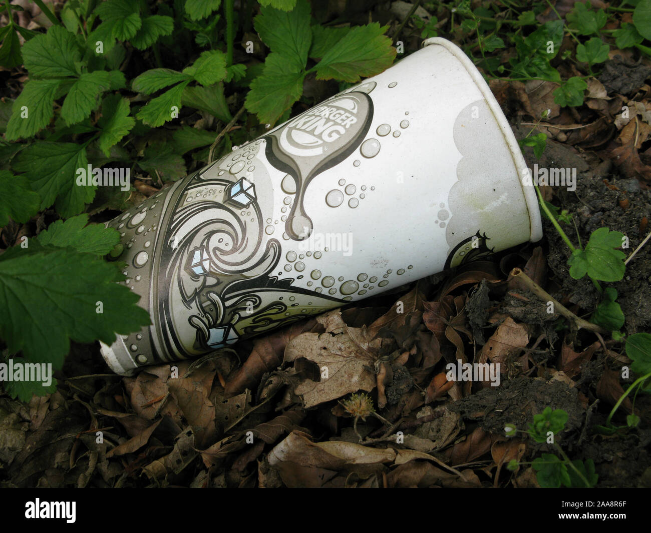 Discarded packaging (Burger King) left in the undergrowth, by the roadside. Stock Photo