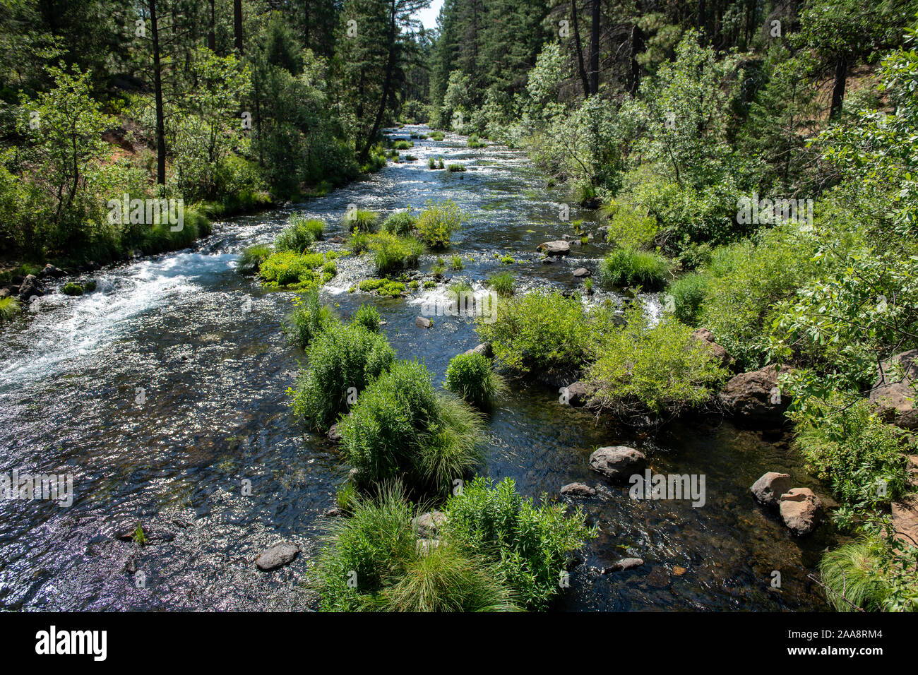 Scenic Burney creek in Shasta County California Stock Photo