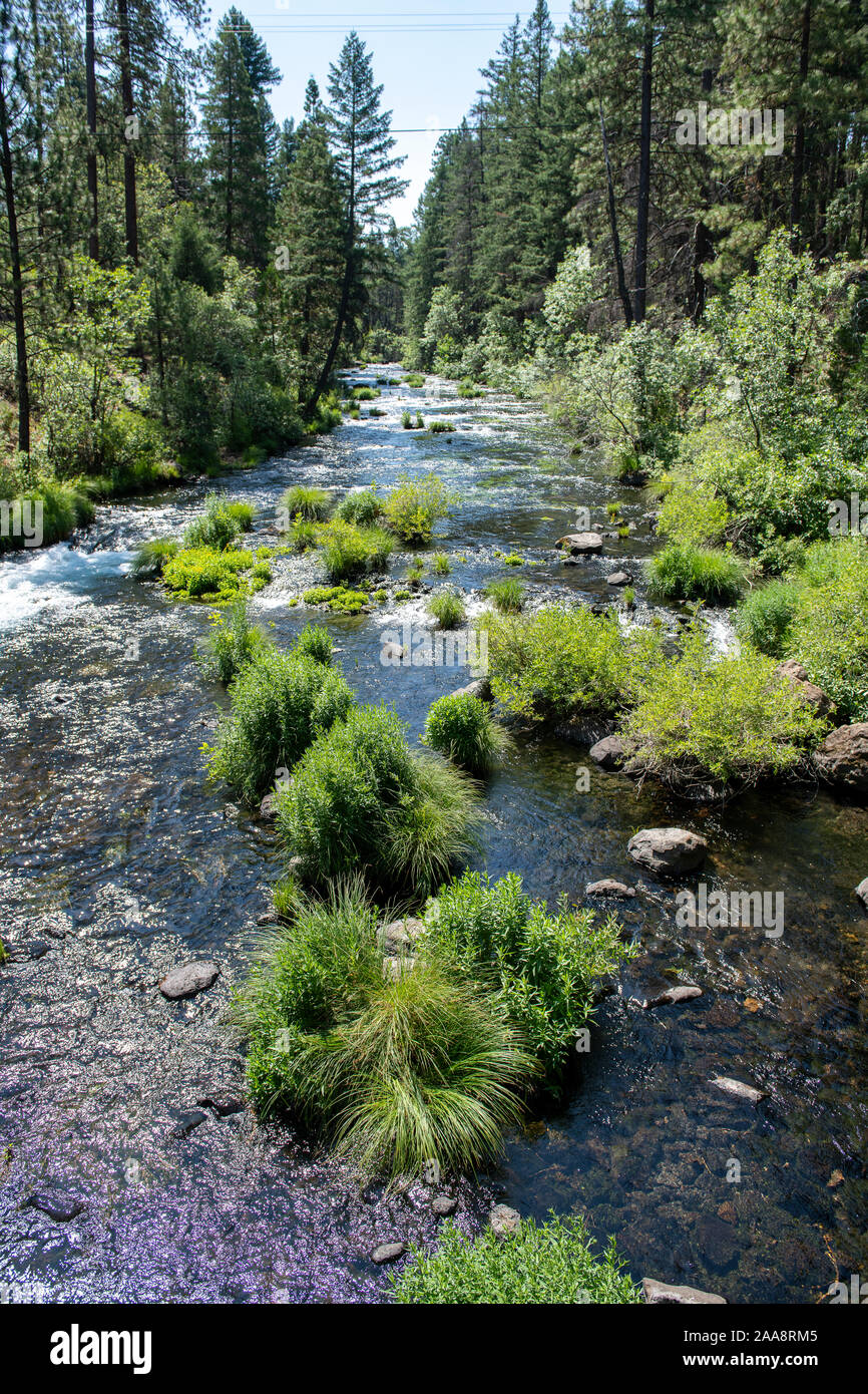 Scenic Burney creek in Shasta County California Stock Photo