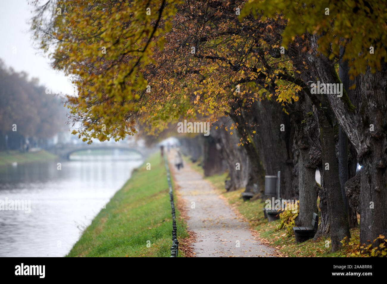 Munich, Germany. 20th Nov, 2019. Passers-by stroll along the Nymphenburger Kanal between autumnally discoloured trees. Credit: Sven Hoppe/dpa/Alamy Live News Stock Photo