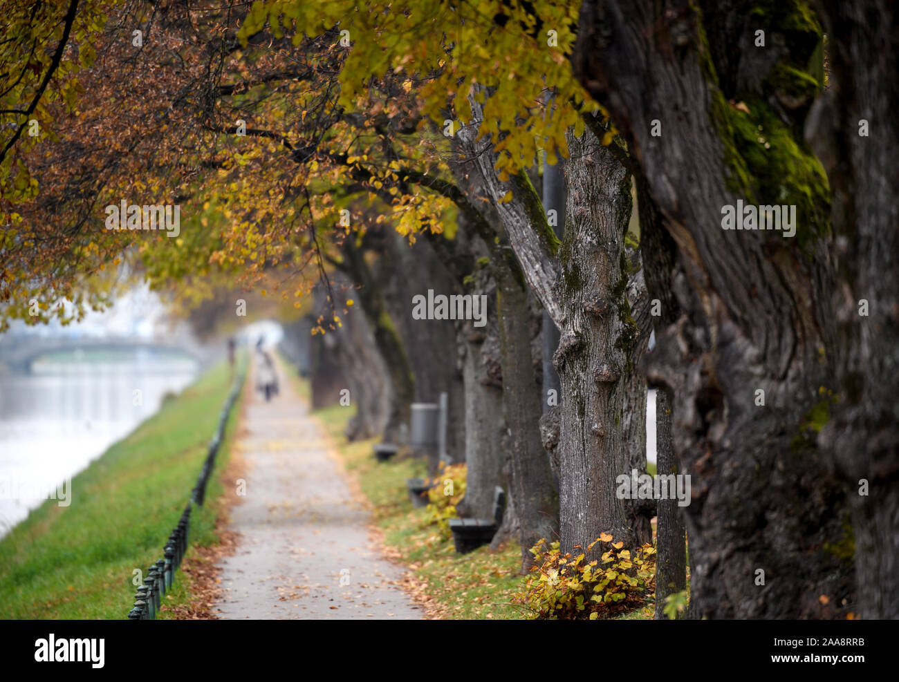 Munich, Germany. 20th Nov, 2019. Passers-by stroll along the Nymphenburger Kanal between autumnally discoloured trees. Credit: Sven Hoppe/dpa/Alamy Live News Stock Photo