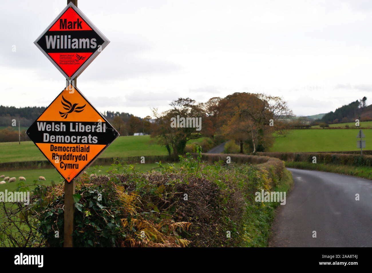 Visible support for the Welsh Liberal Democrats candidate Mark Williams in the marginal constituency of Ceredigion in rural Mid Wales UK  Election Stock Photo