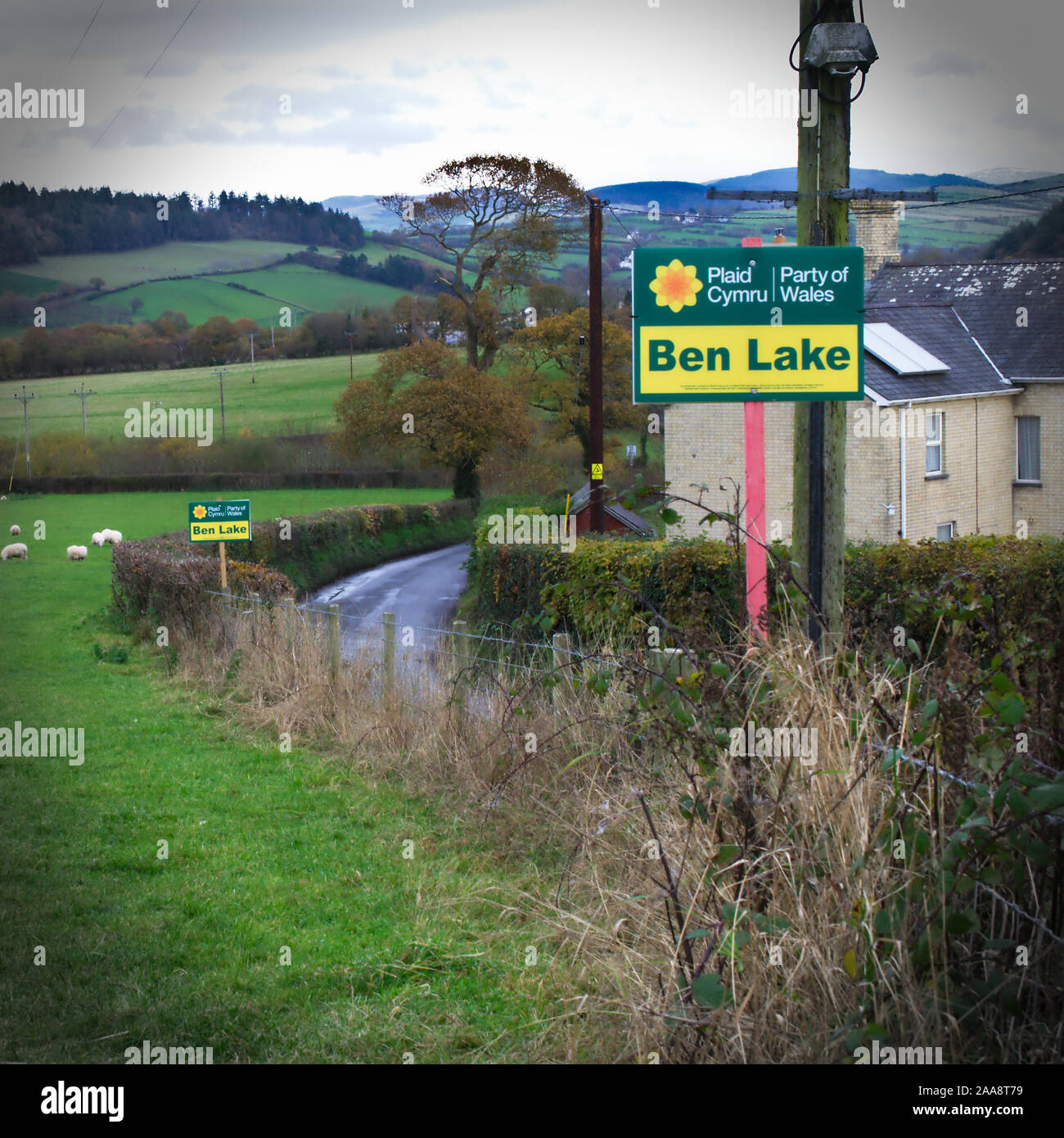Visible support for the Plaid Cymru candidate Ben Lake in the marginal constituency of Ceredigion in rural Mid Wales.  UK General Election Stock Photo