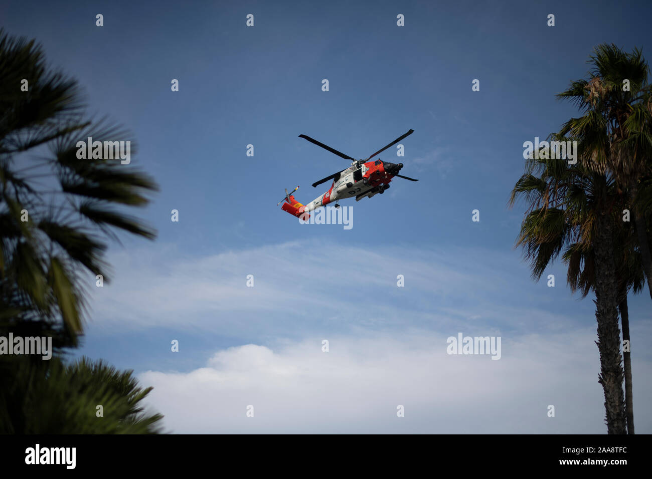 Coast Guard Helicopter flying ablove palm trees on a sunny day Stock Photo