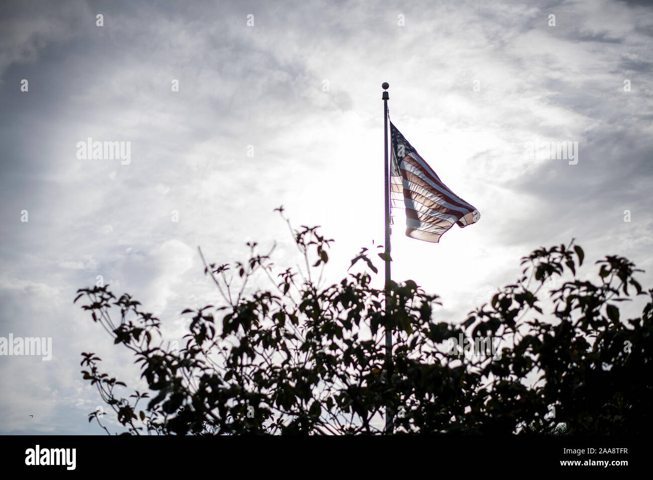 Moody, back lit, monotone American Flag flying above trees Stock Photo