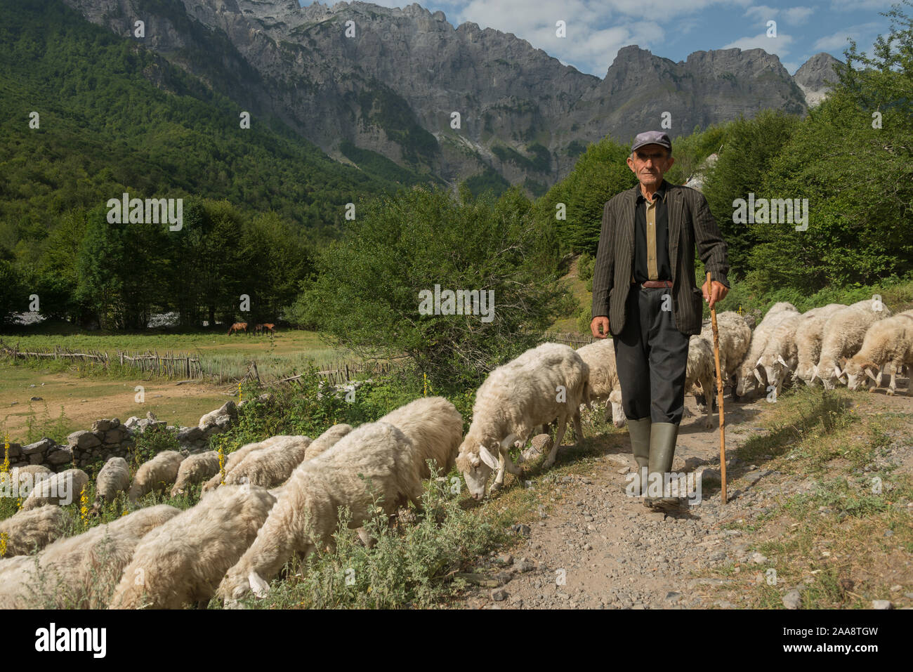 Shepherd, Gjelaj, Albania Stock Photo