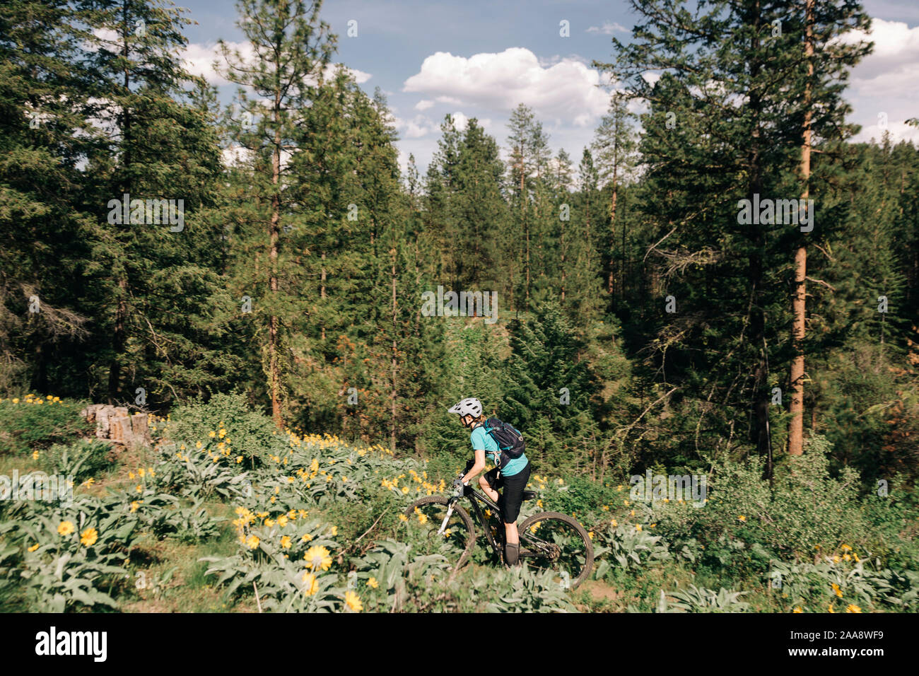 Winthrop hires stock photography and images Alamy