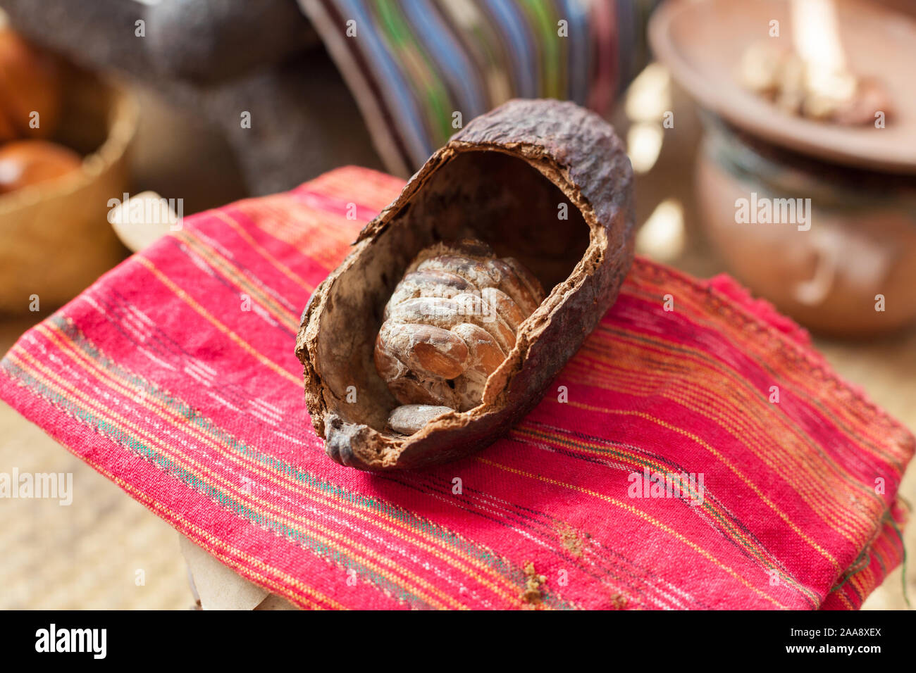 Open cocoa pod hi-res stock photography and images - Alamy
