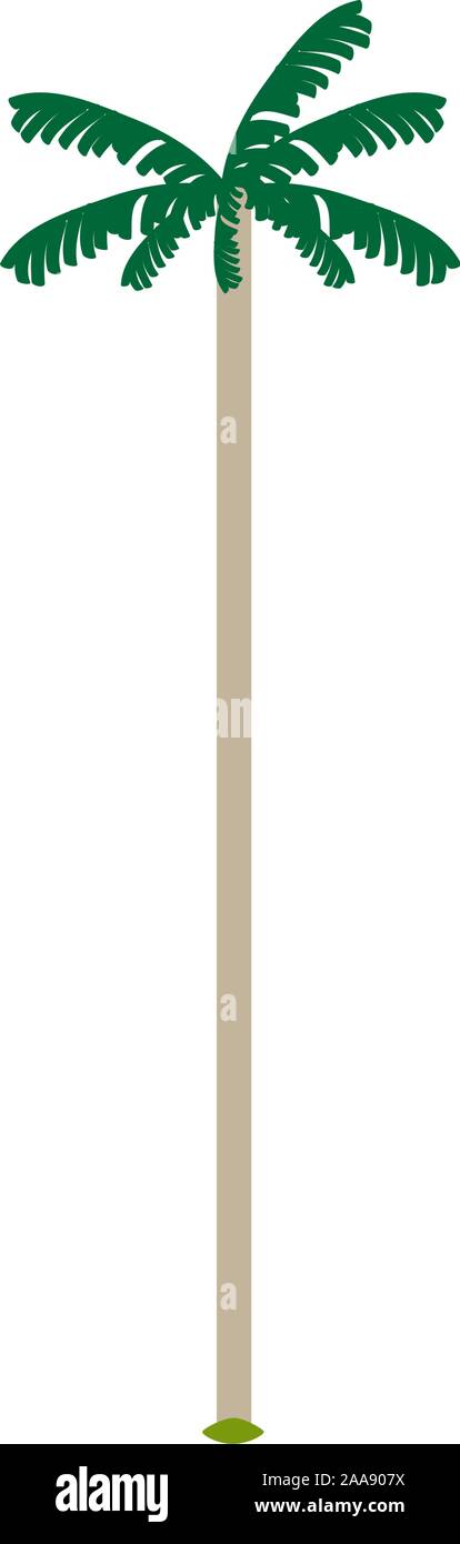 Isolated cocora valley tree over a white background - Vector ...