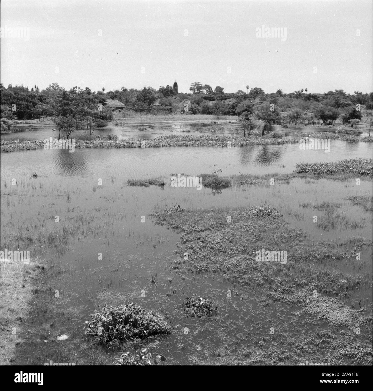 Ayutthaya Historical Park while being restored by the Leader with donation from PM Unu of Burma as shown in this set of photographs taken on 7Oct 1956 Stock Photo