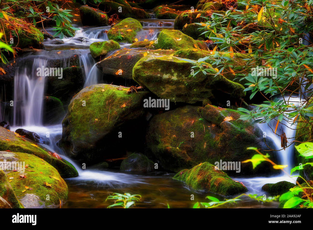 Roaring Fork Motor Trail Located In The Smokey Mountains Is Five