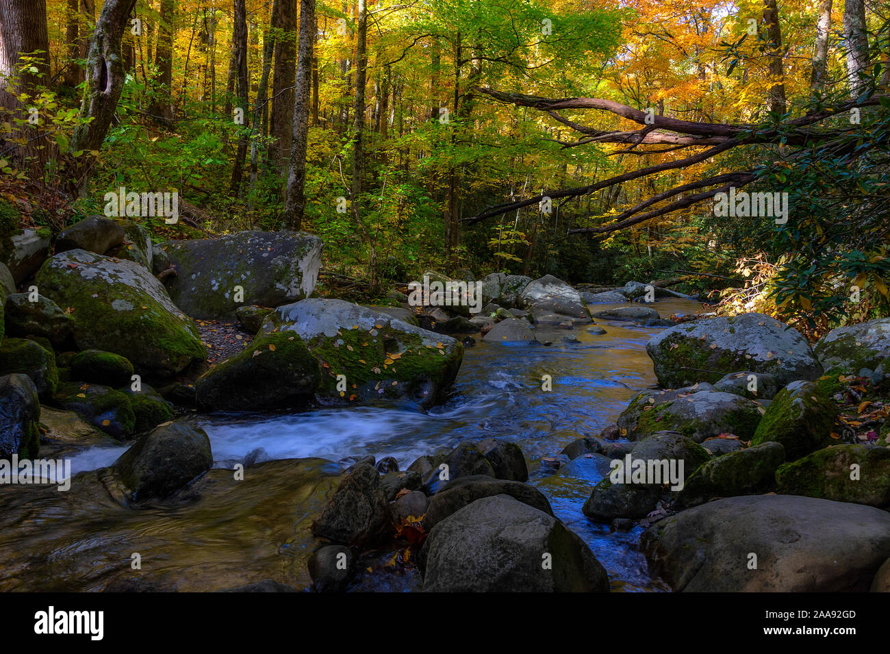 Roaring Fork Motor Trail Located In The Smoky Mountains Is Five