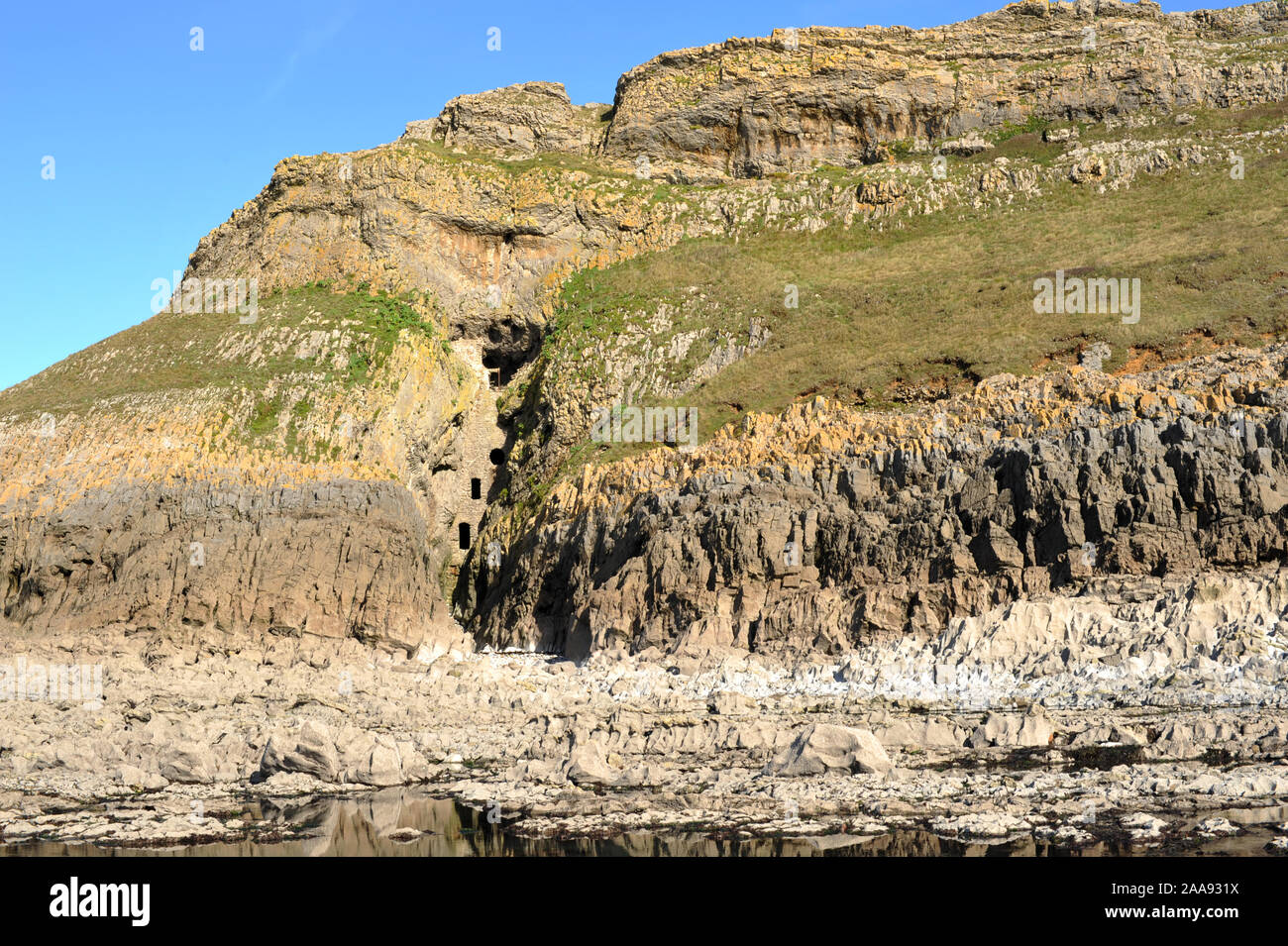 Culver Hole, an ancient dovecot walled into the cliffs near Port Eynon, Gower, Wales. Seen from low tide. Stock Photo
