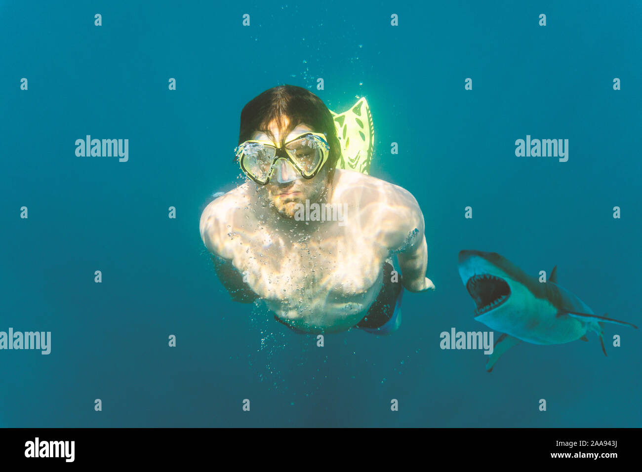Man is attacked by a shark under water.  Diving sports, risk and danger and panic attack victim concept. Stock Photo